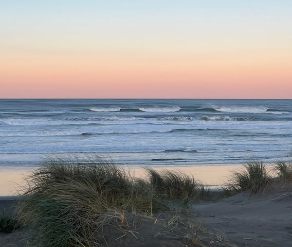 Dune grass with waves in the background at ocean beach in san francisco