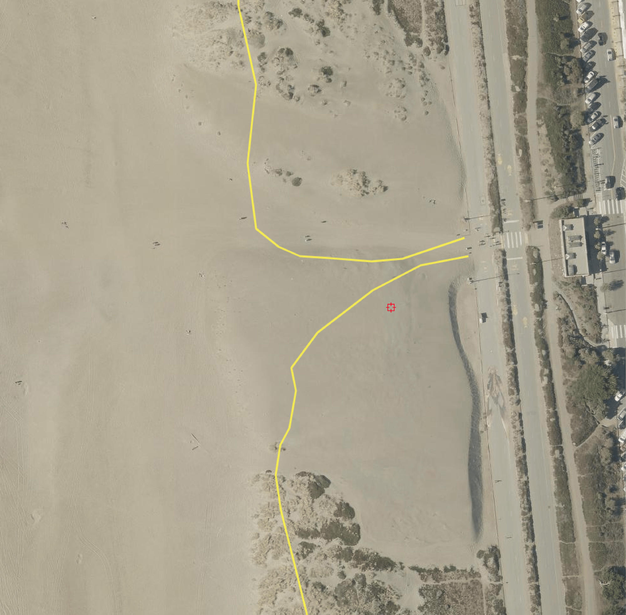 Judah veg time lapse 2002